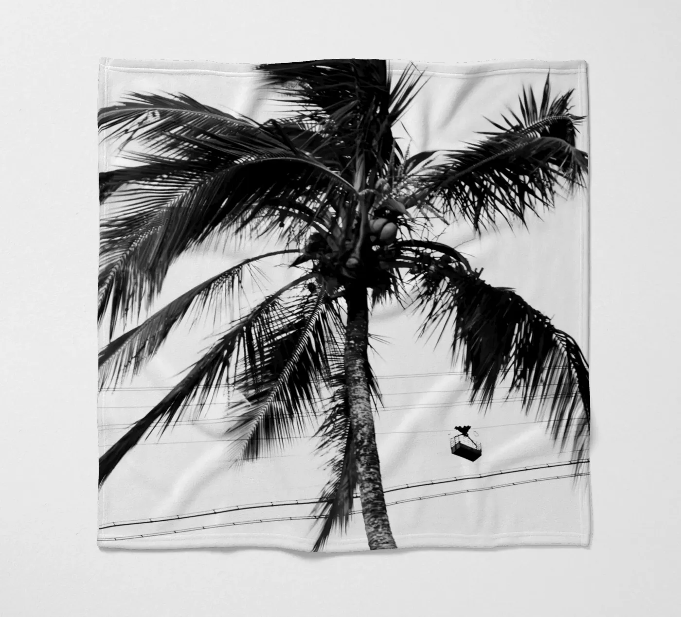 Cablecar fleece blanket by rafael campezato