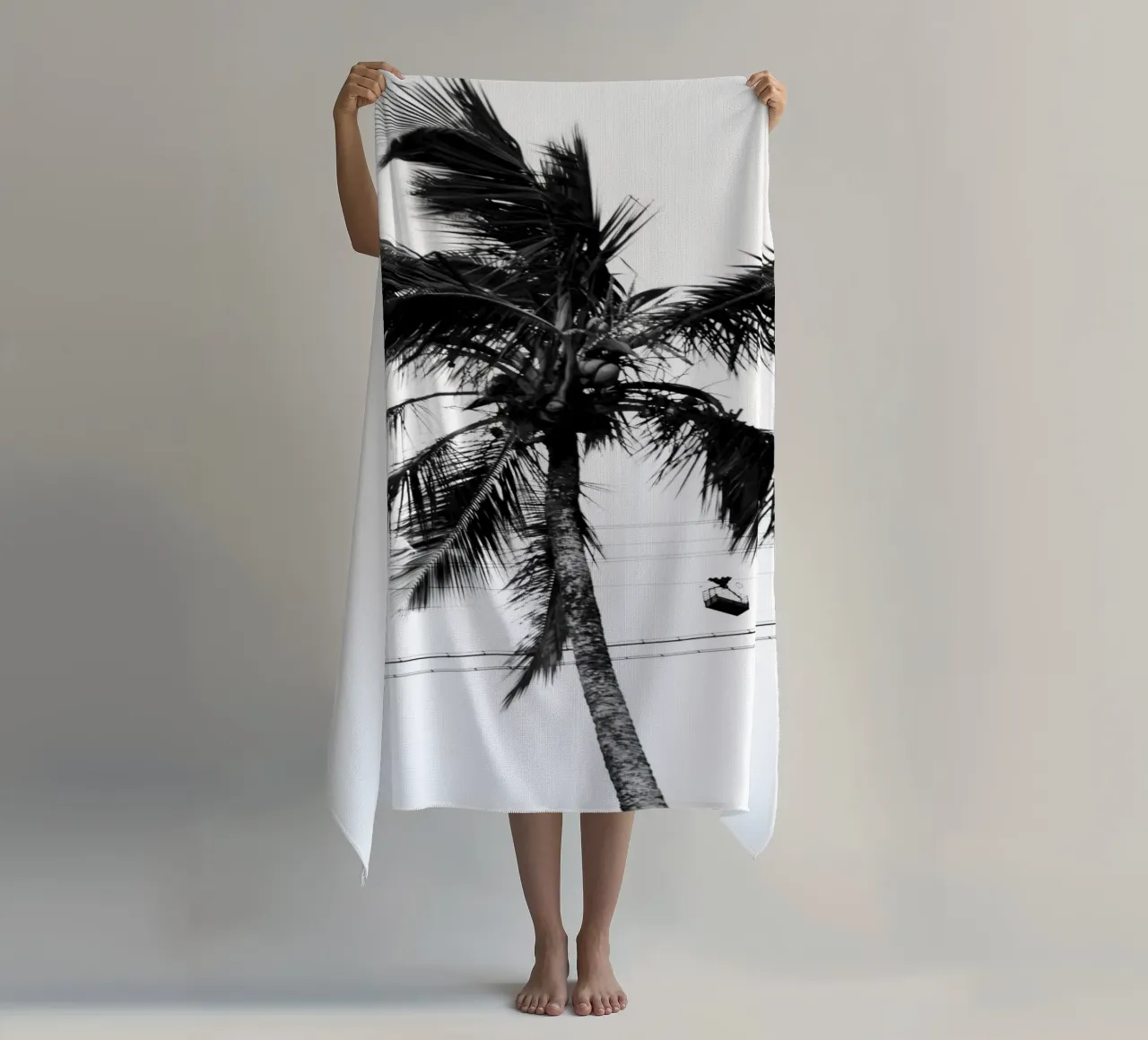 Cablecar telo mare da rafael campezato