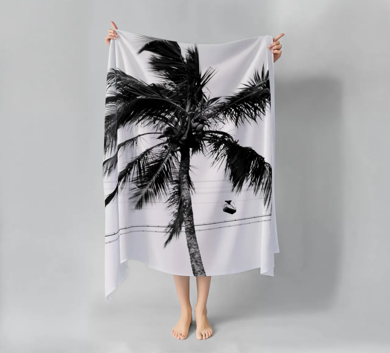 Cablecar telo mare da rafael campezato