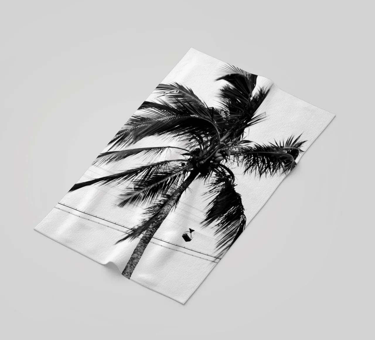 Cablecar telo mare da rafael campezato