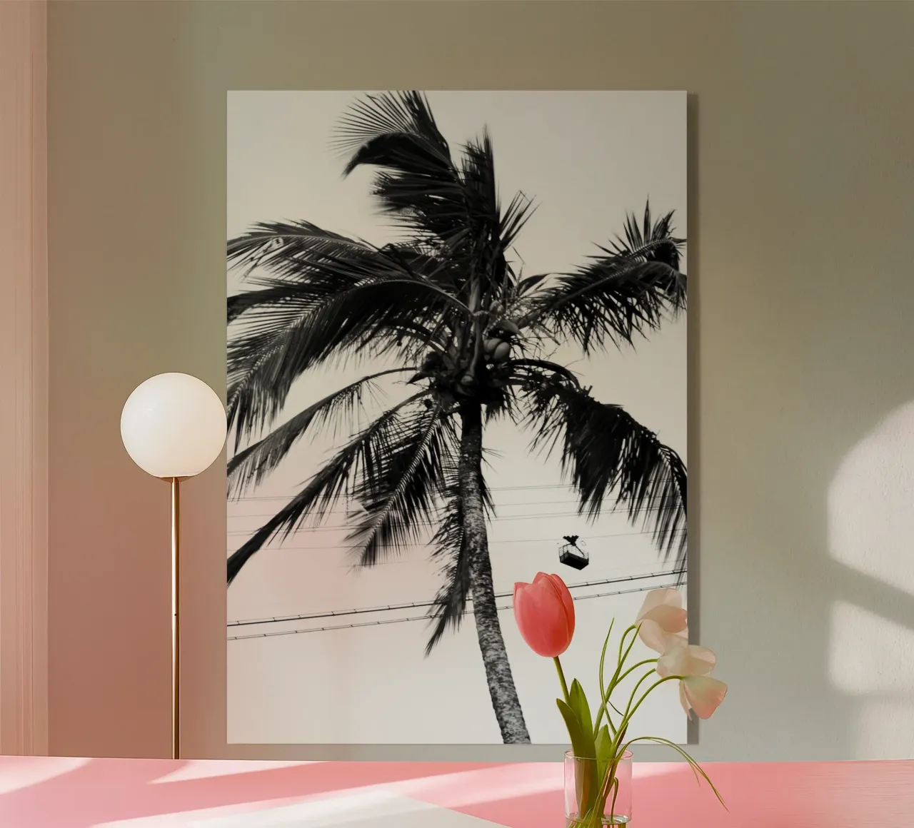 Cablecar plexiglass da rafael campezato