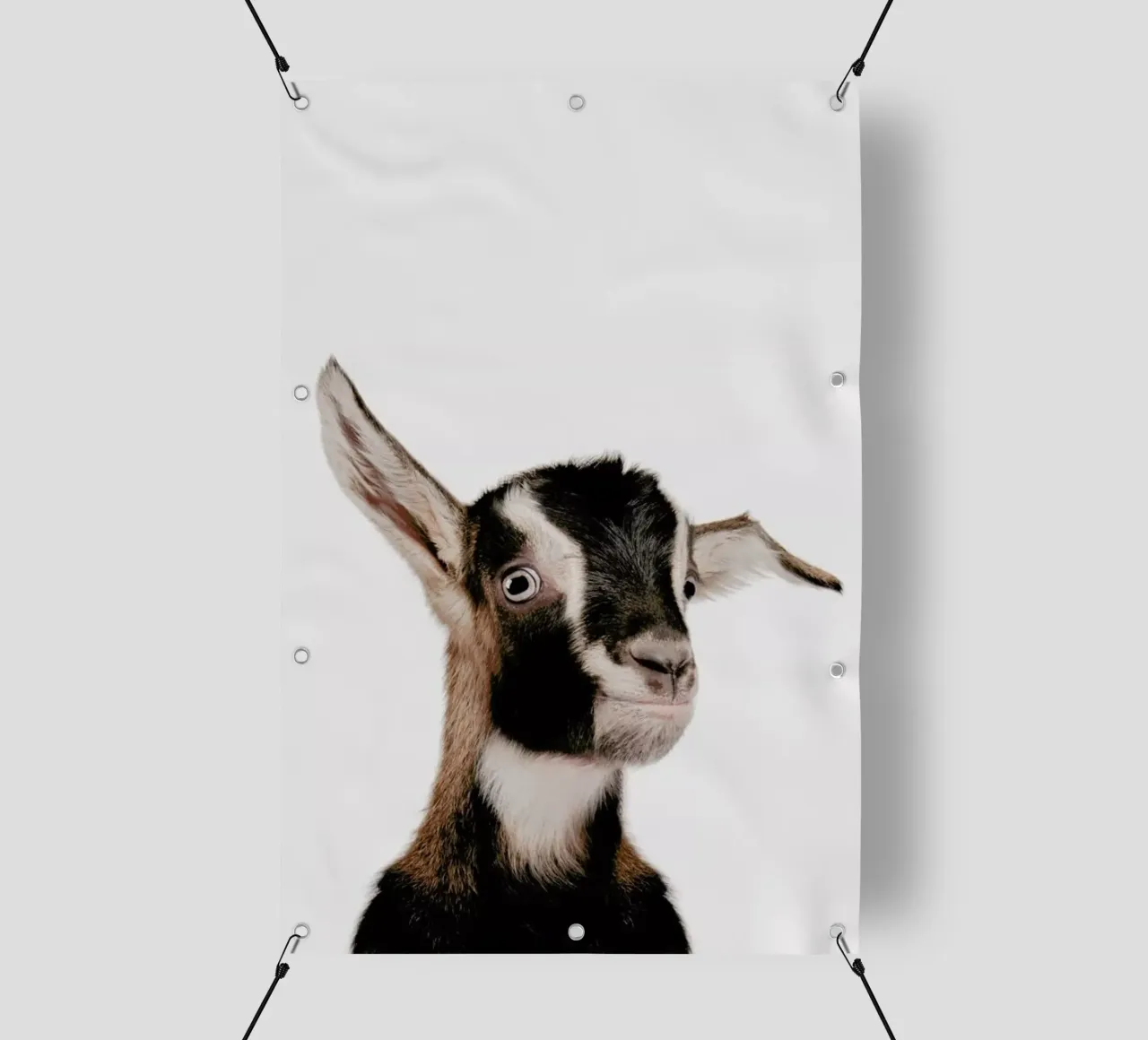Goat telo in pvc da Paws & Claws