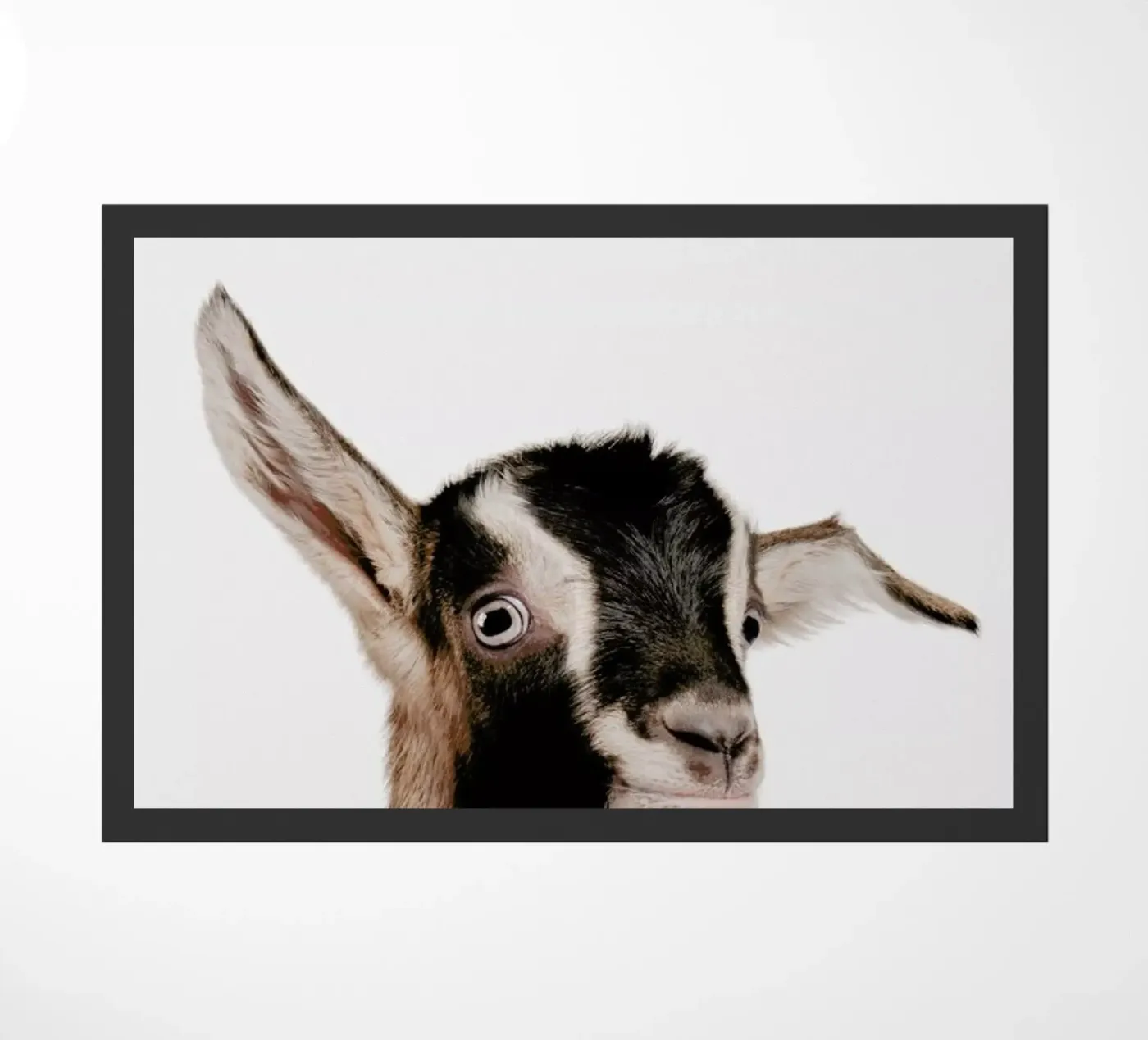 Goat zerbino da Paws & Claws