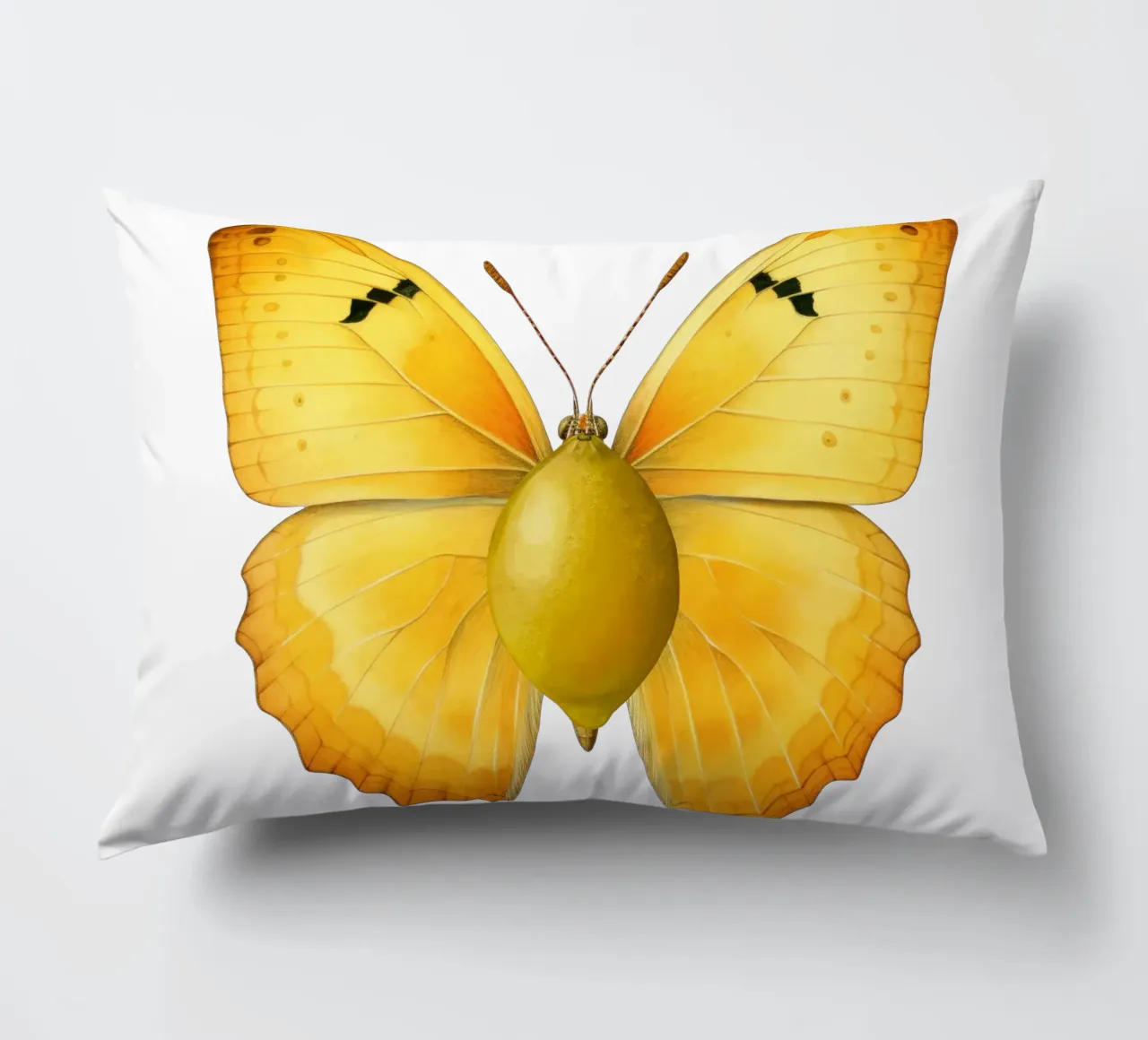 Zitrone Schmetterling mit Zitrone Körper - Transparenter Hintergrund Kissen von Stilrausch