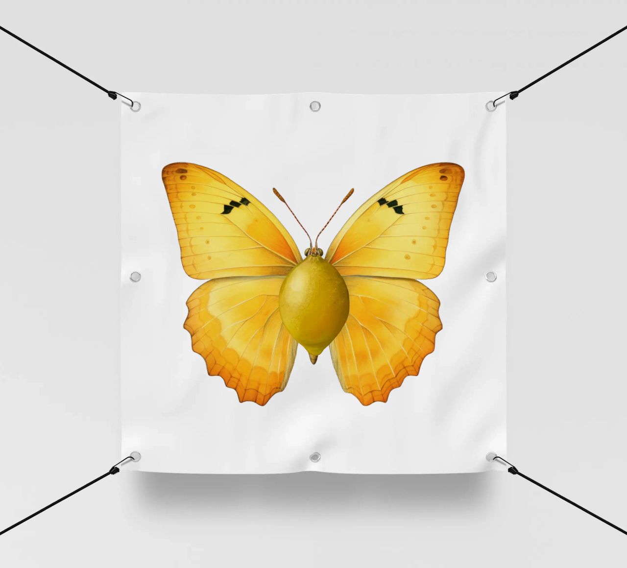 Zitrone Schmetterling mit Zitrone Körper - Transparenter Hintergrund PVC Plane von Stilrausch
