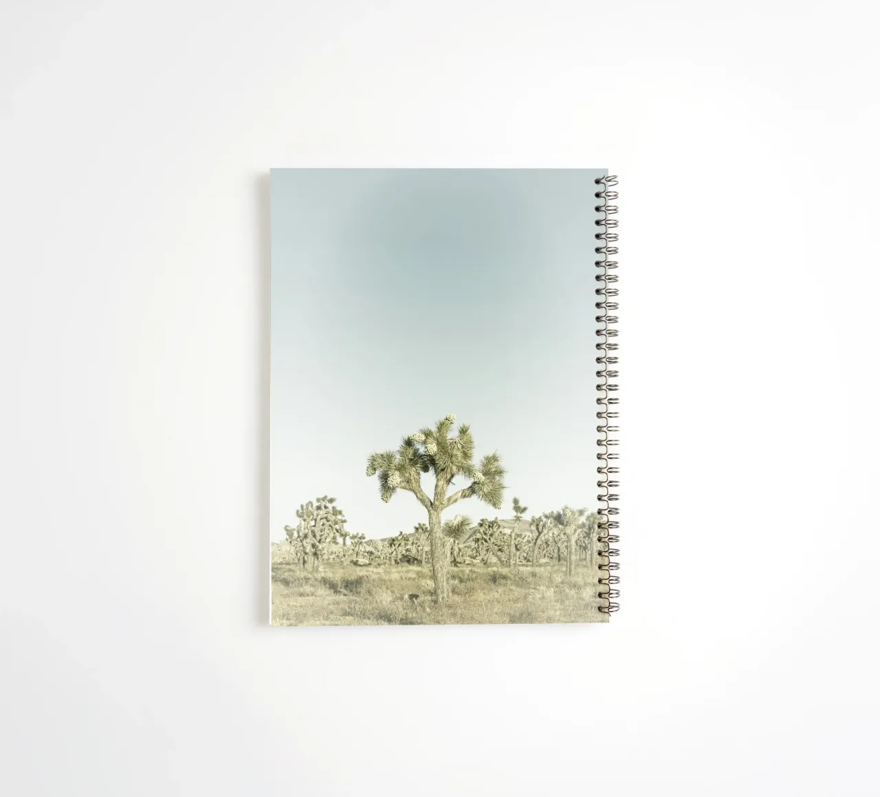 Joshua Tree National Park | Vintage spiral notebook by Melanie Viola
