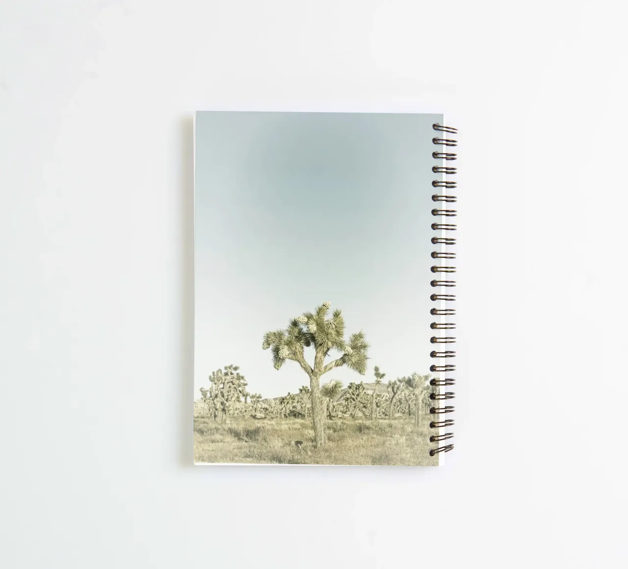 Joshua Tree National Park | Vintage spiral notebook by Melanie Viola
