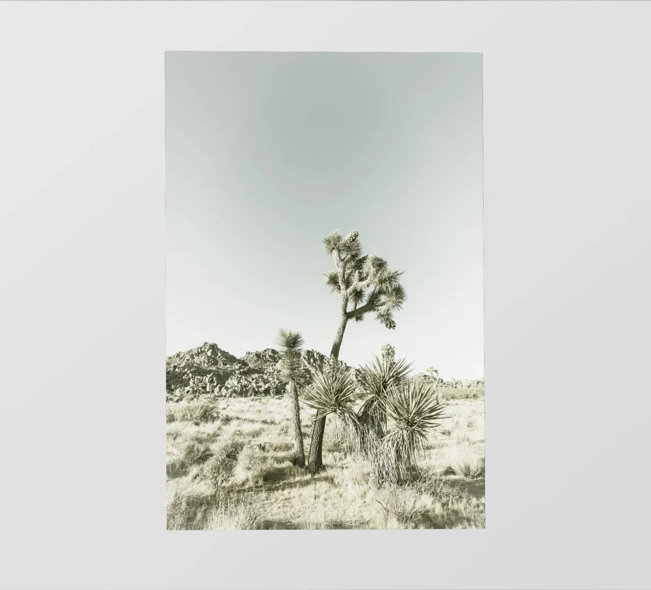 Parc national de Joshua Tree | Vintage papier peint photo de Melanie Viola