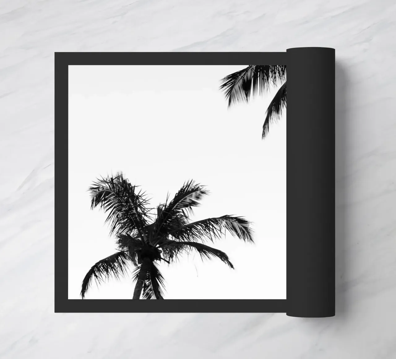 Tropycal 2 zerbino da rafael campezato