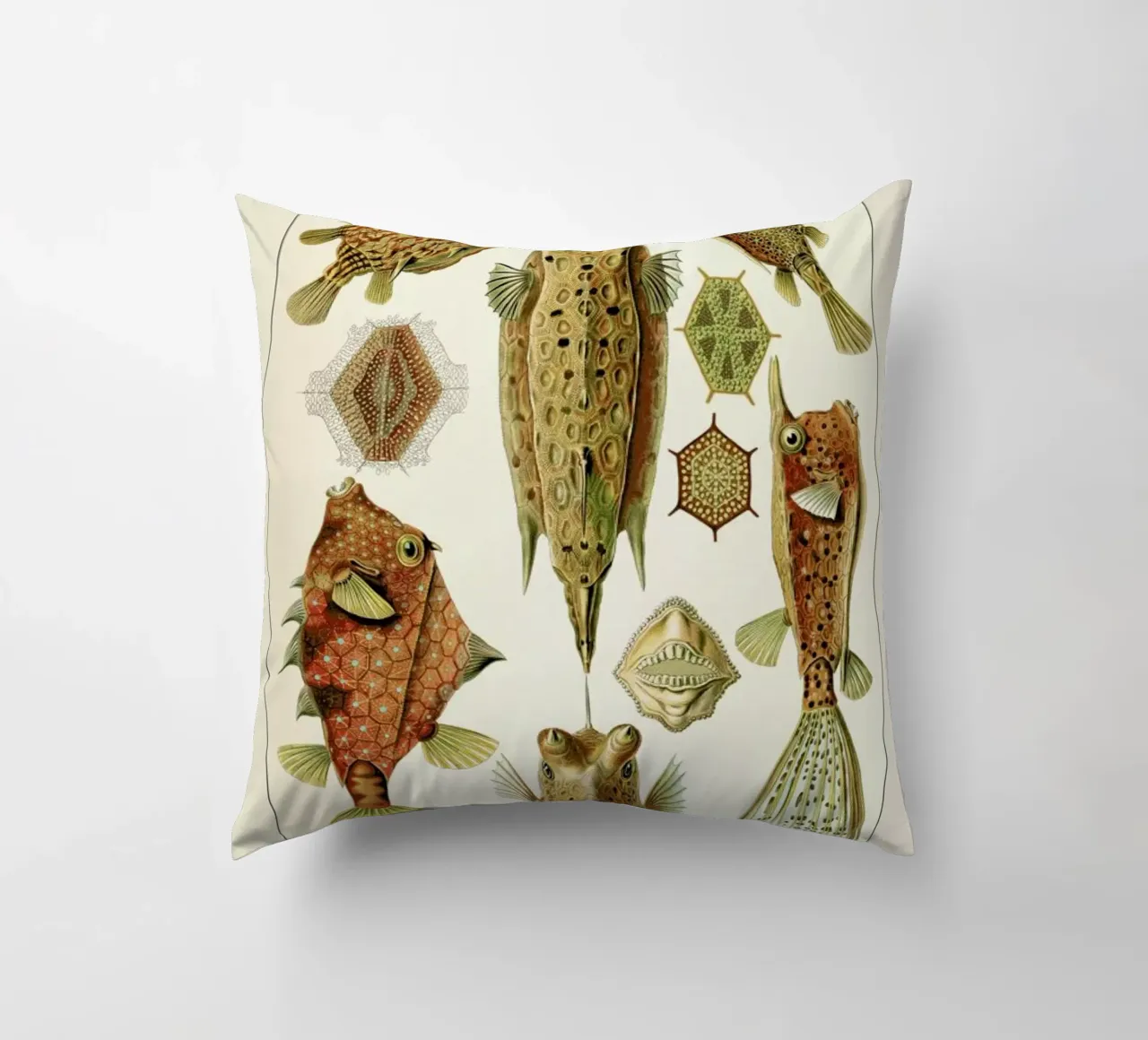 Haeckel - Ostraciontes cuscino da ARTOTHEK