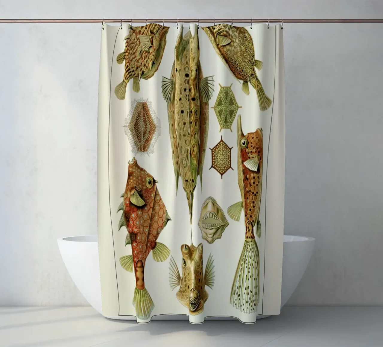 Haeckel - Ostraciontes shower curtain by ARTOTHEK