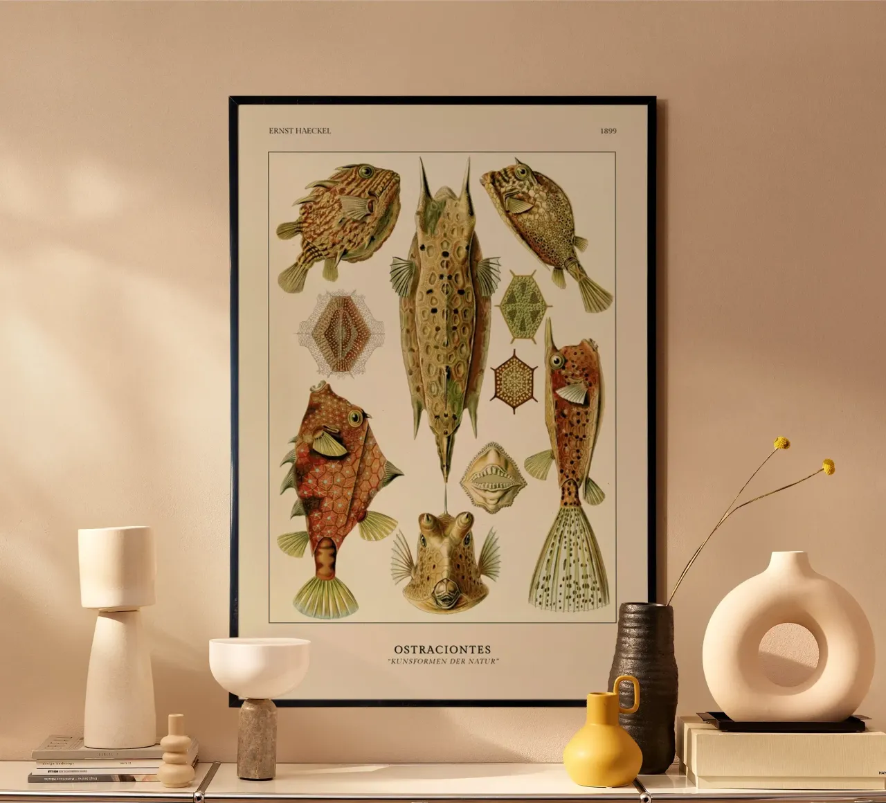 Haeckel - Ostraciontes hahnemühle by ARTOTHEK