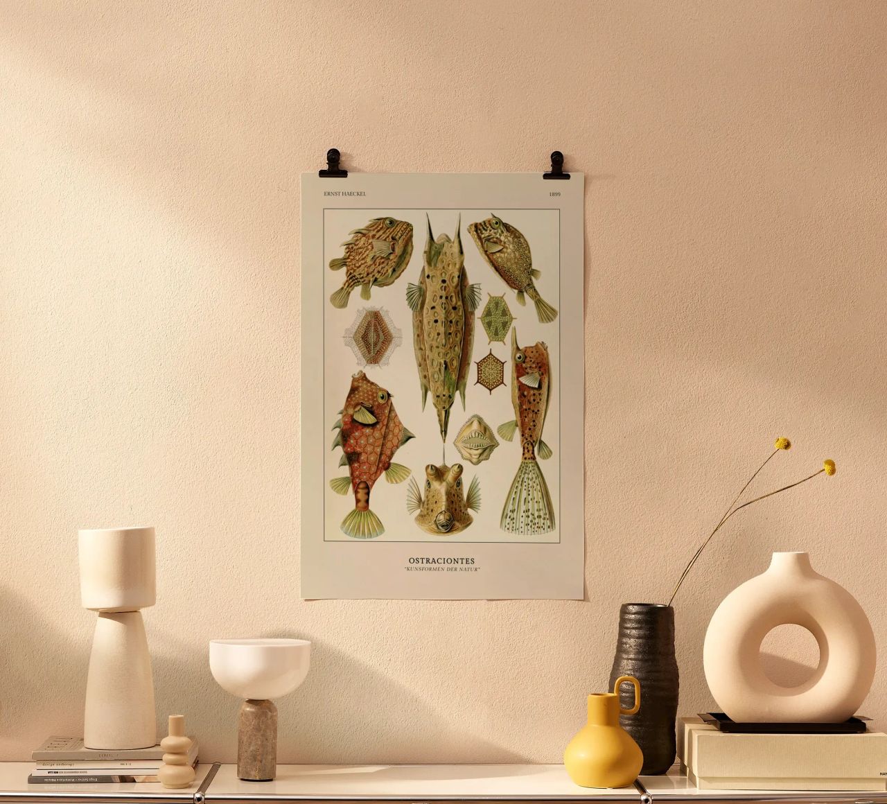 Haeckel - Ostraciontes Poster von ARTOTHEK