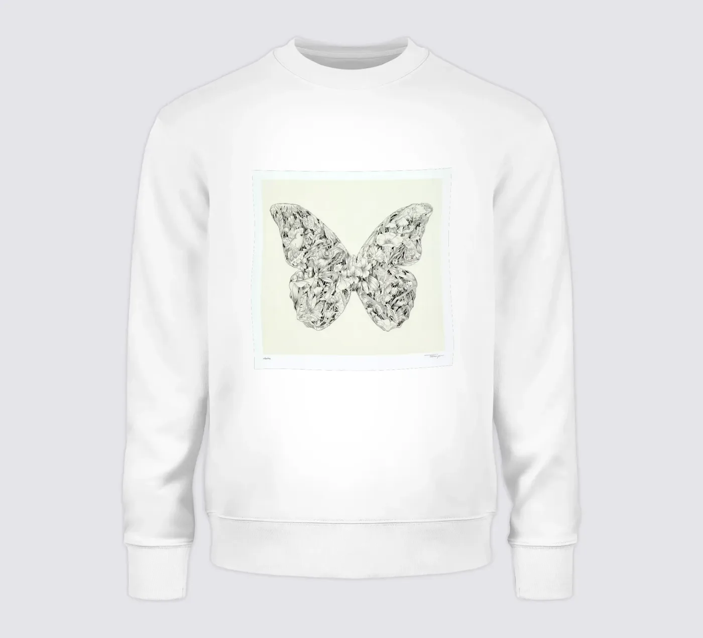 Morpho felpa da Faunesque