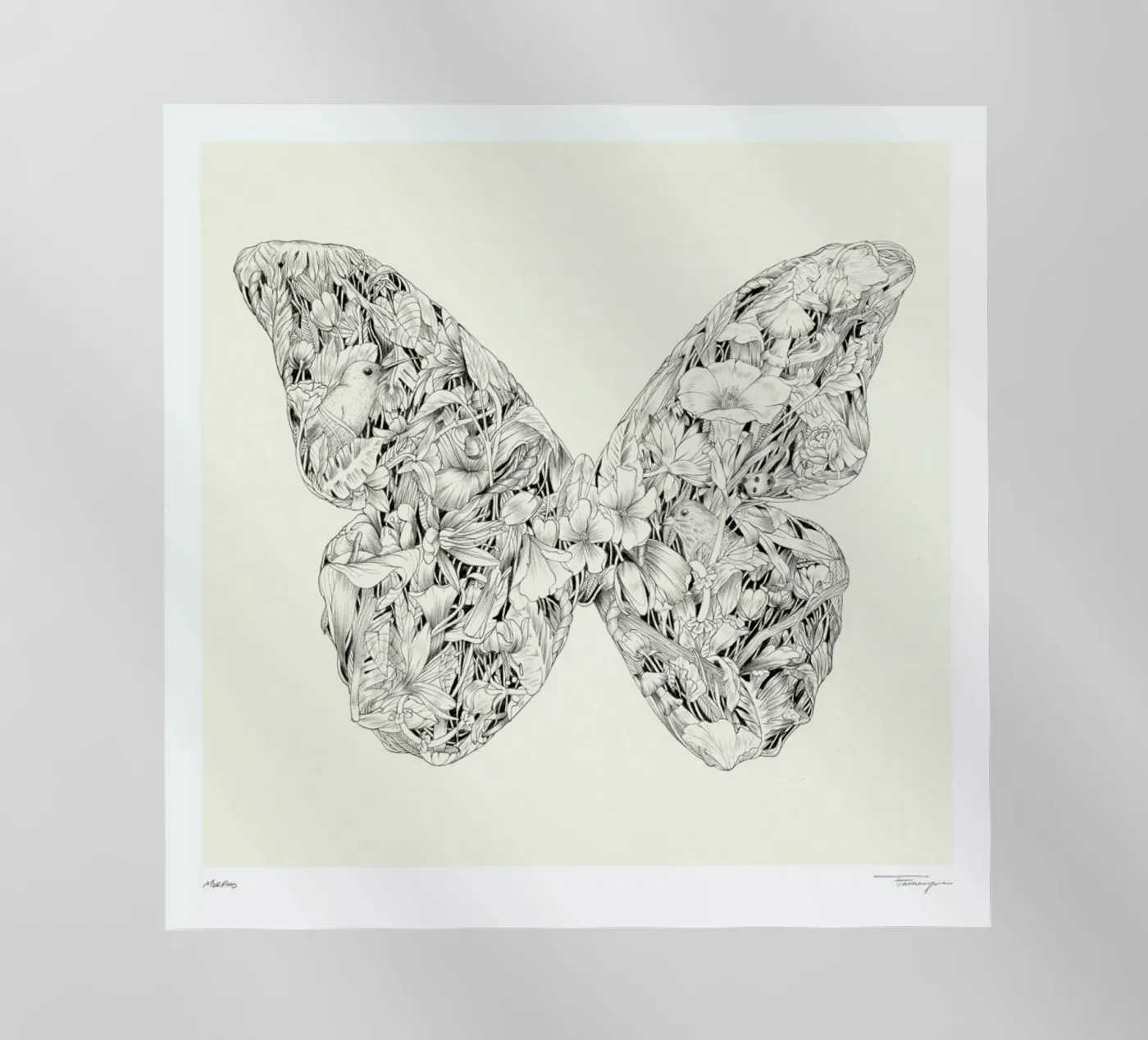 Morpho Backlit Folie von Faunesque