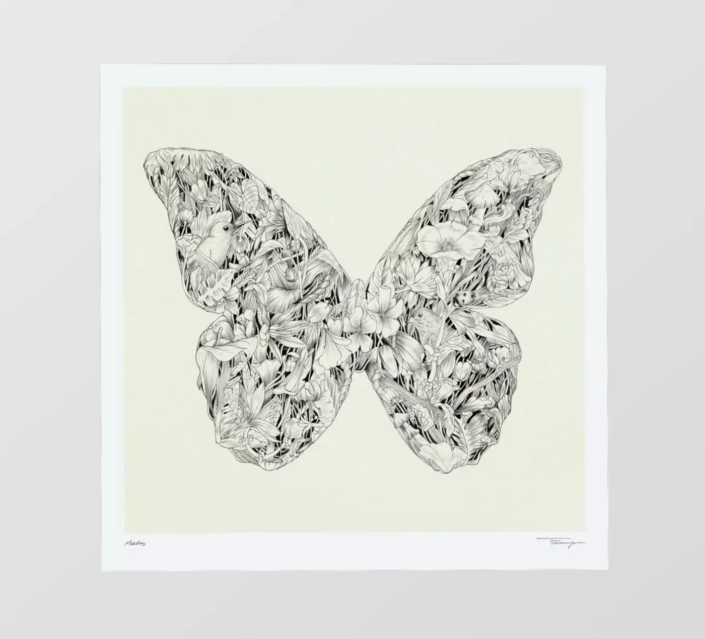 Morpho Backlit Folie von Faunesque