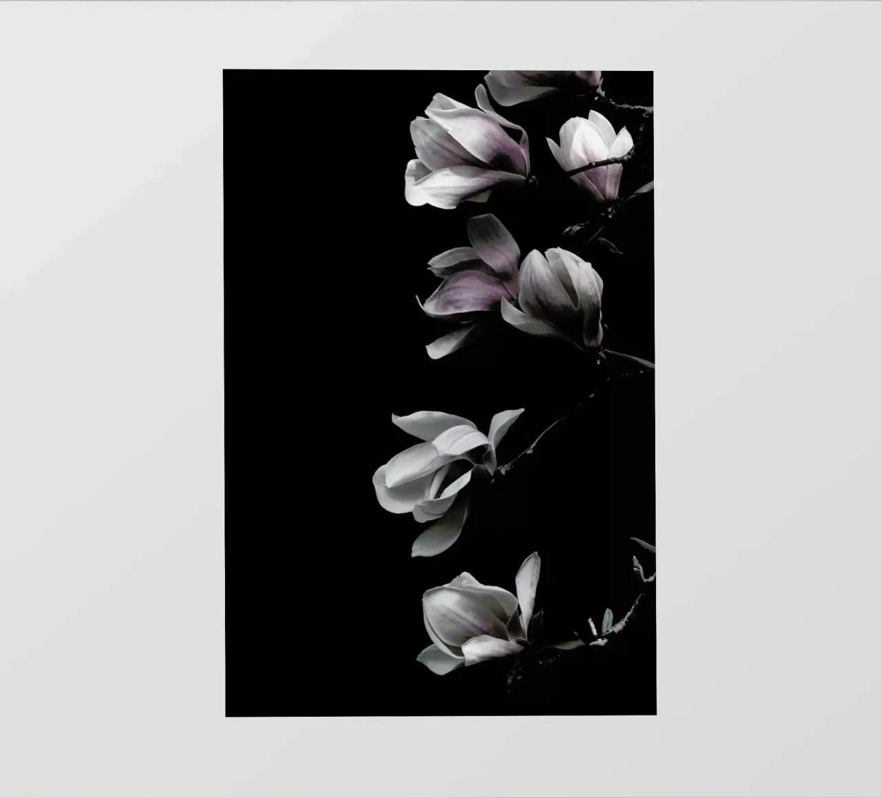 Minimal Magnolia On Black telo in pvc da Studio Nahili