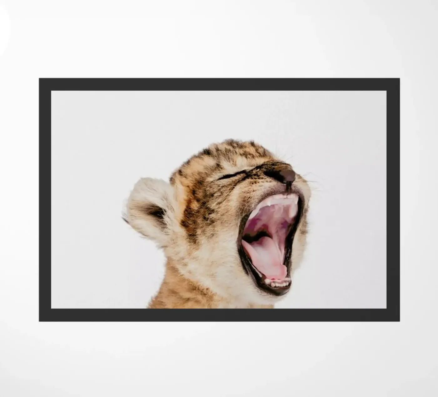 Sleepy Leopard doormat by Paws & Claws