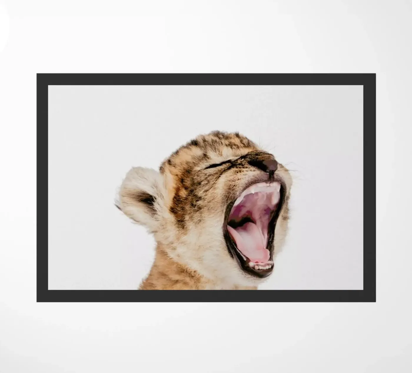 Sleepy Leopard doormat by Paws & Claws