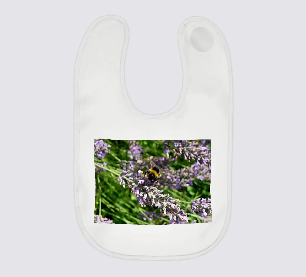 Ape bavaglino da Massimo Frascogna