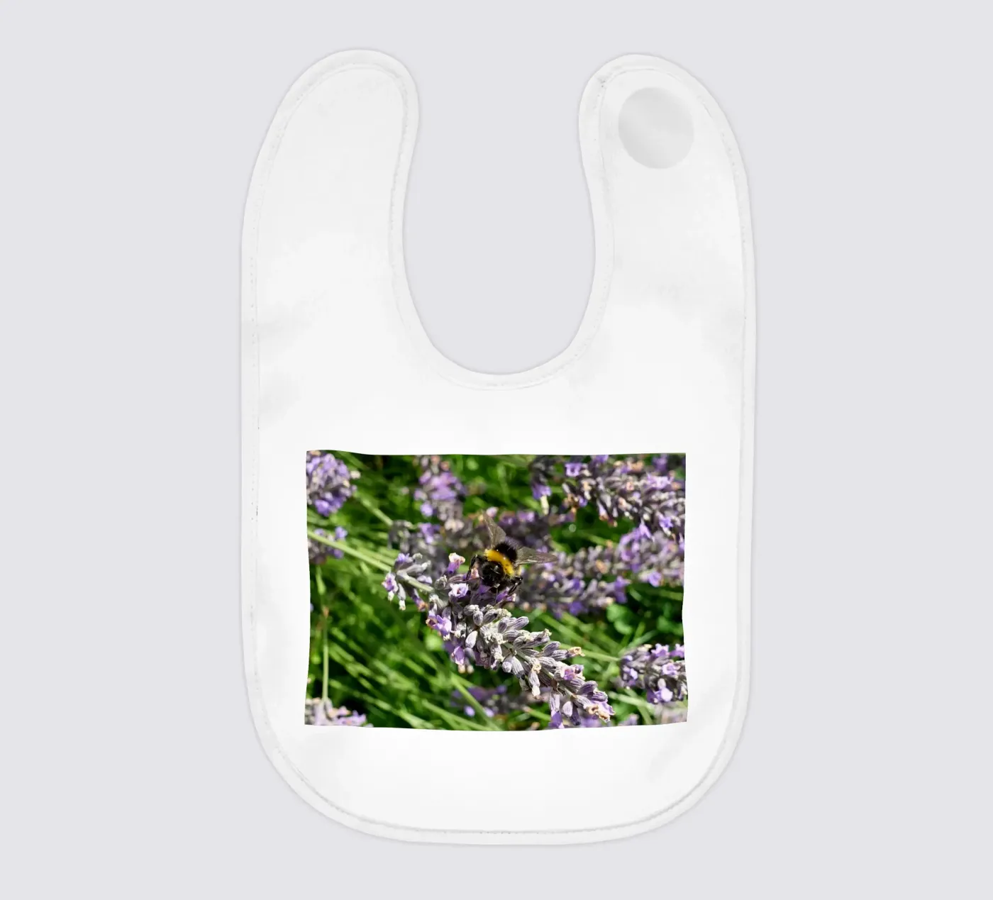 Bij baby slabbetje van Massimo Frascogna