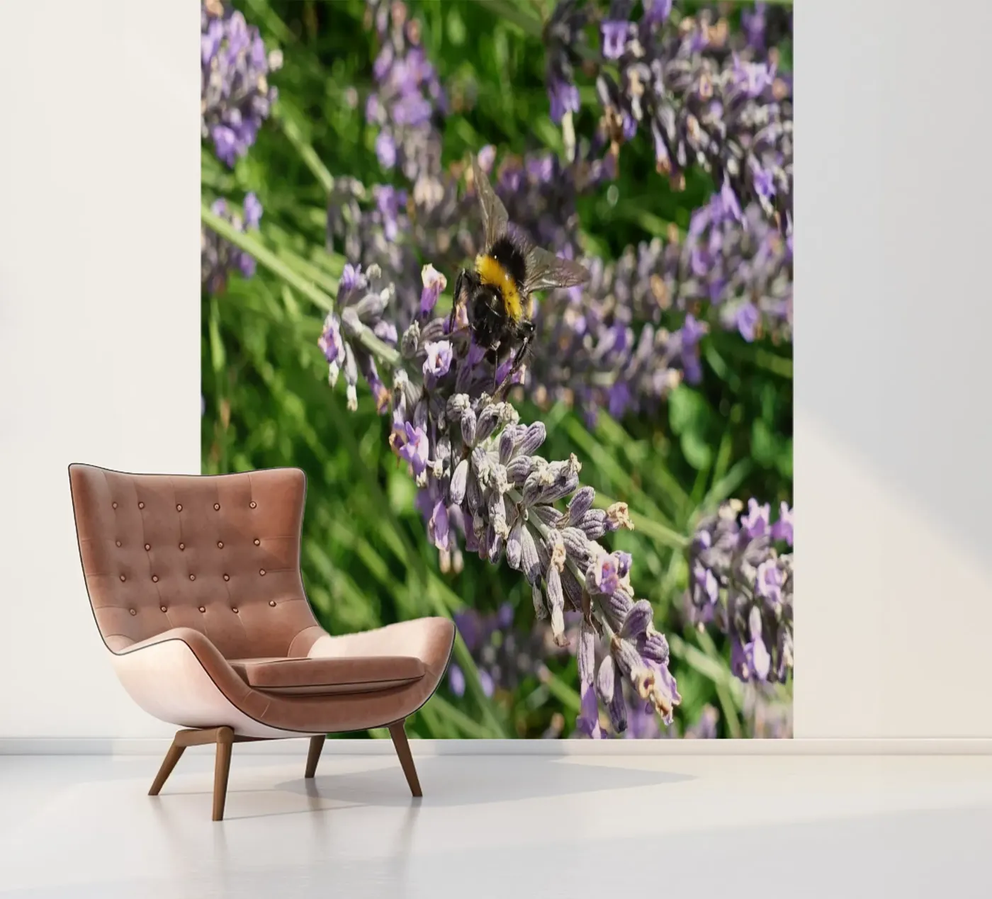 Bij fotobehang van Massimo Frascogna