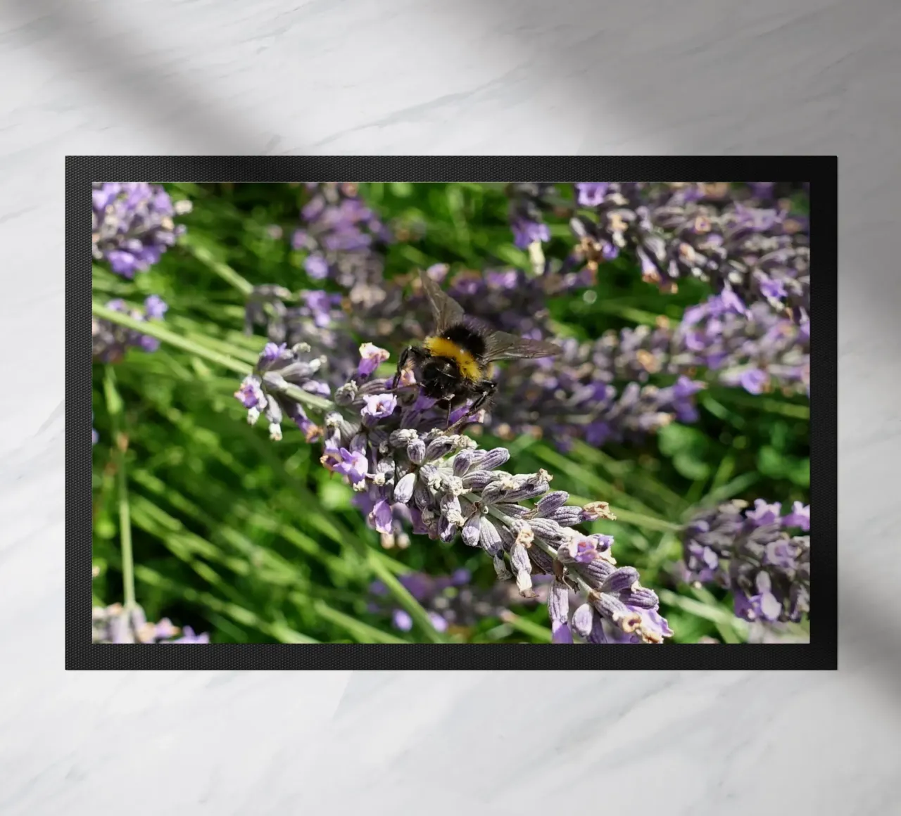 Bee doormat by Massimo Frascogna