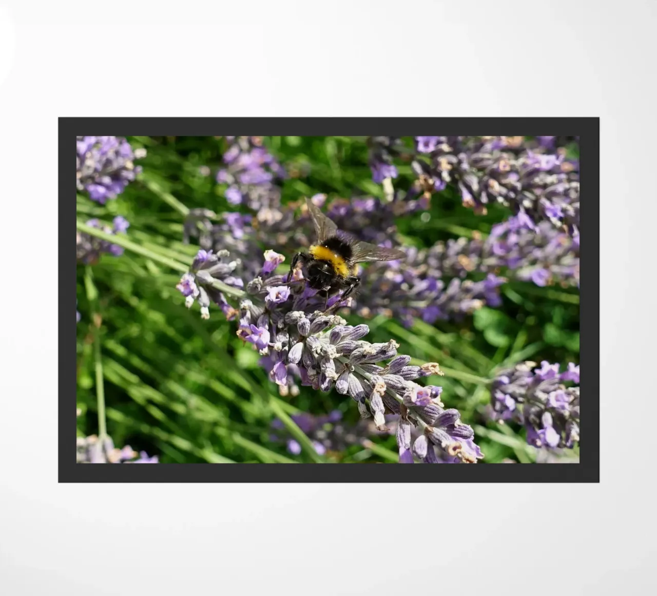 Bee doormat by Massimo Frascogna