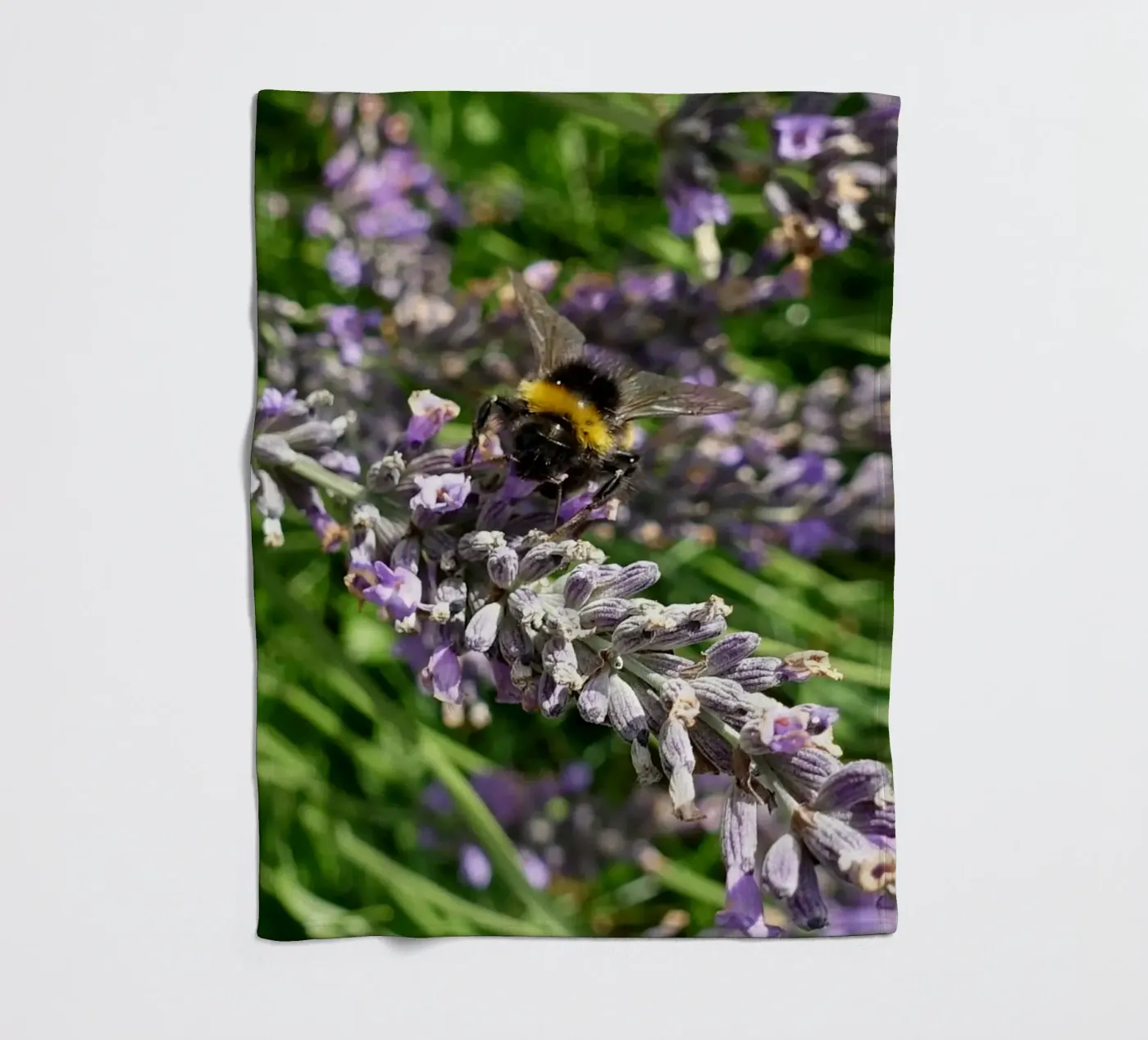 Bee fleece blanket by Massimo Frascogna