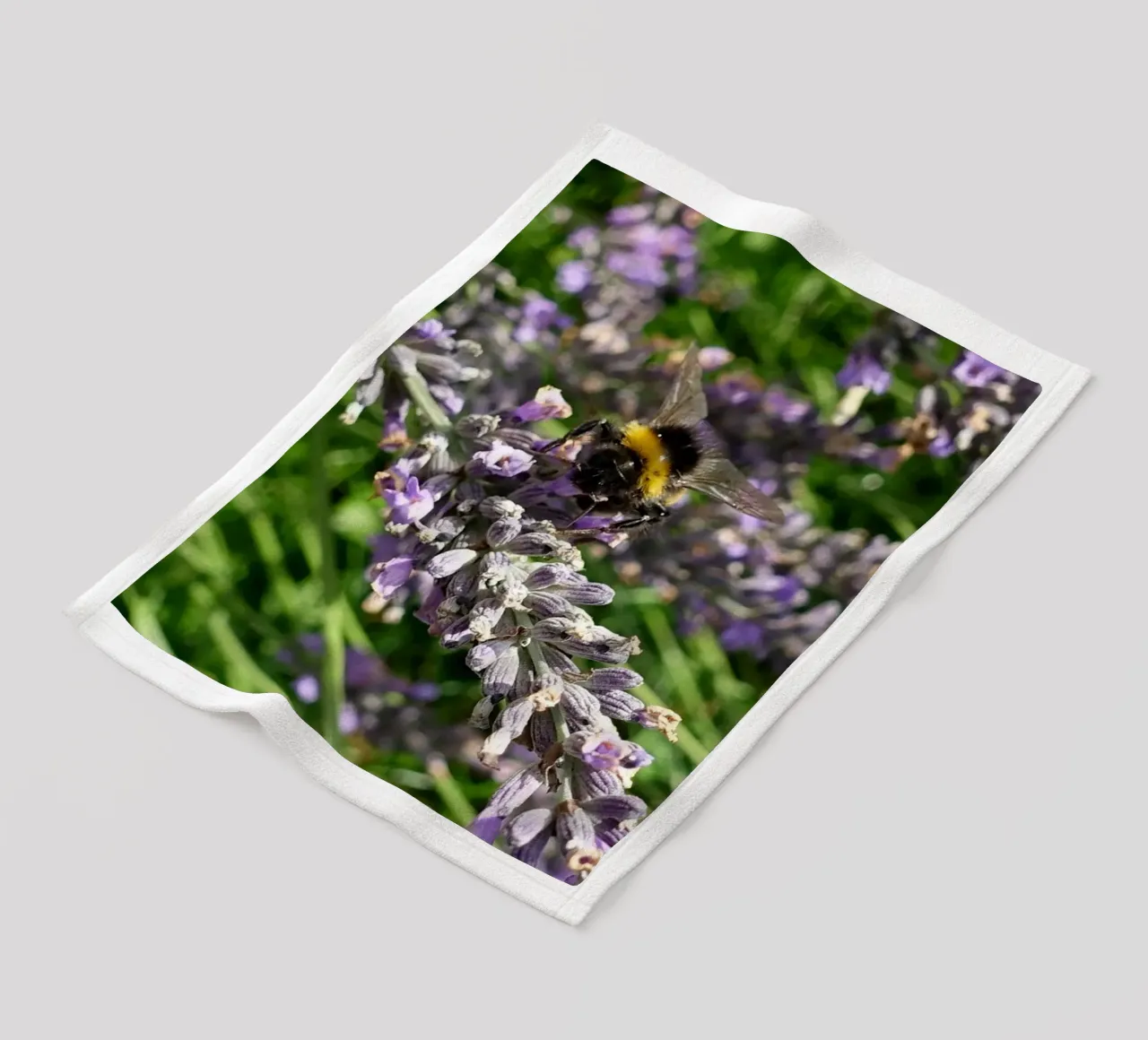 Bee fleece blanket by Massimo Frascogna