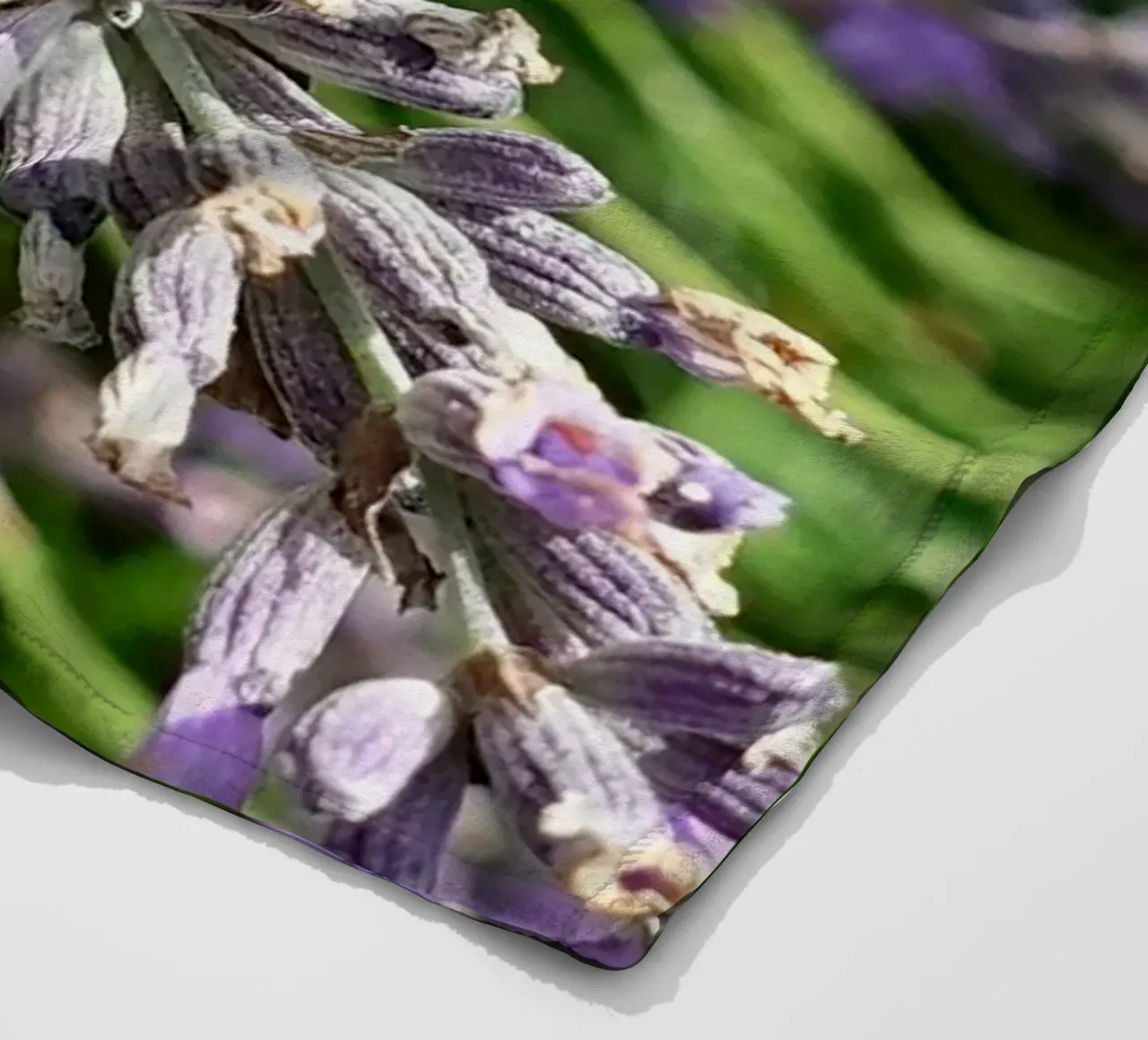 Bee fleece blanket by Massimo Frascogna