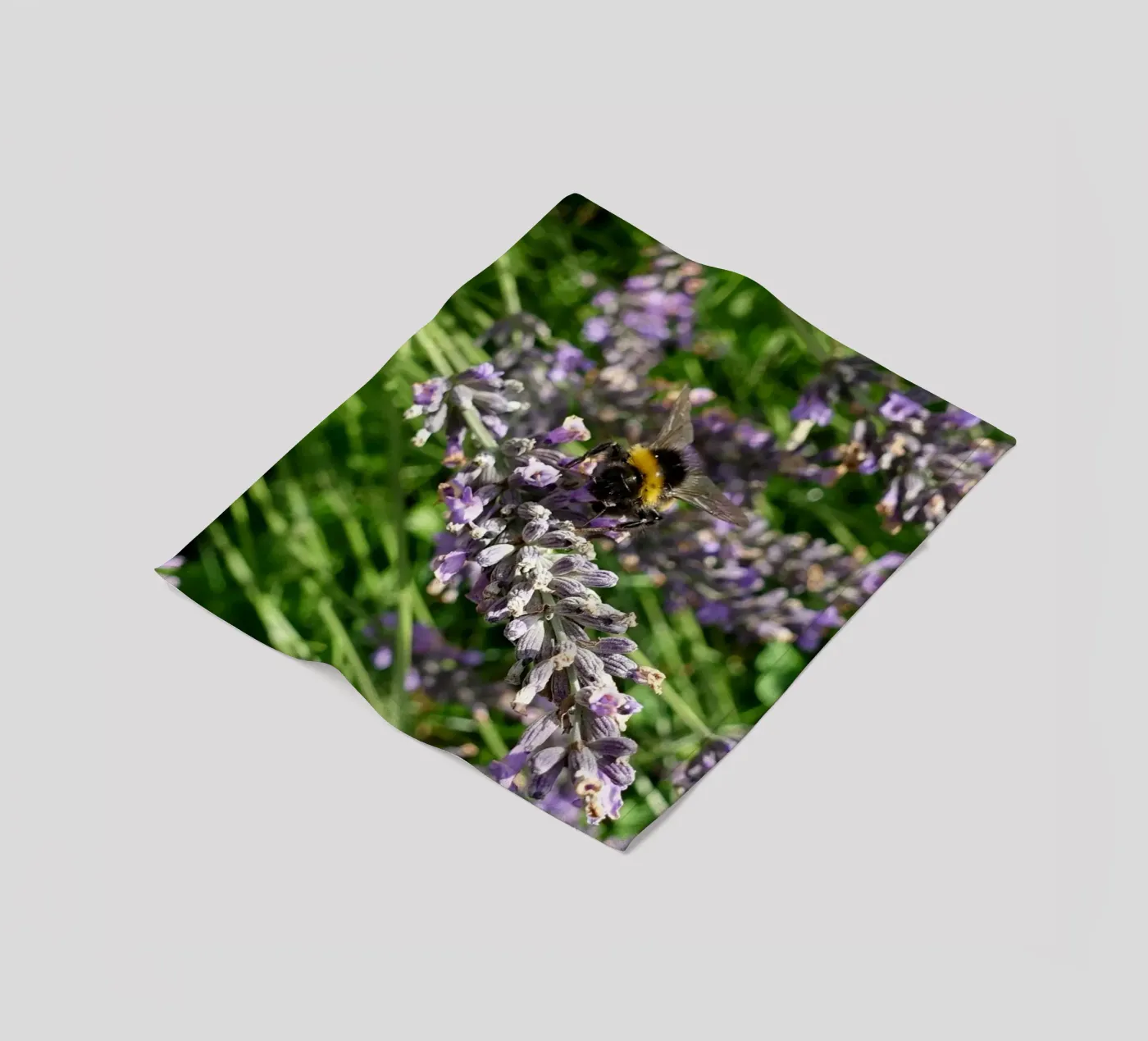 Bee fleece blanket by Massimo Frascogna