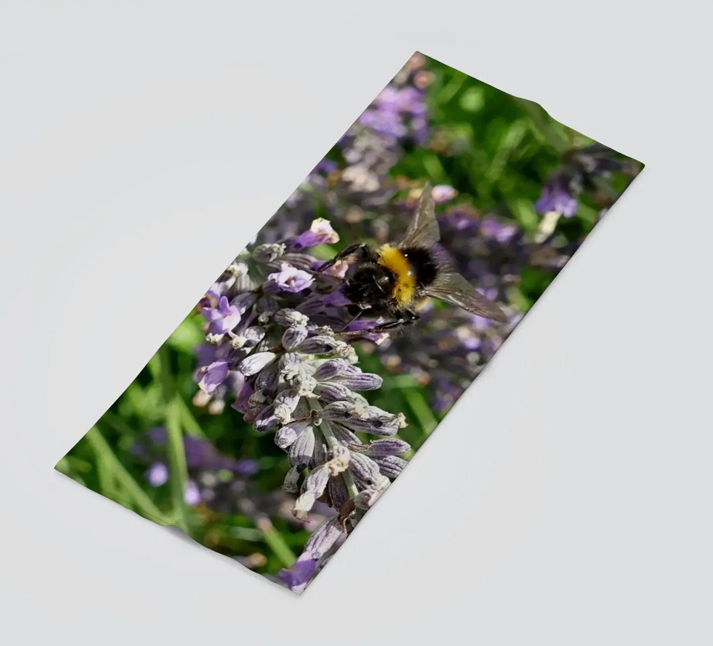 Bee strandhanddoek van Massimo Frascogna