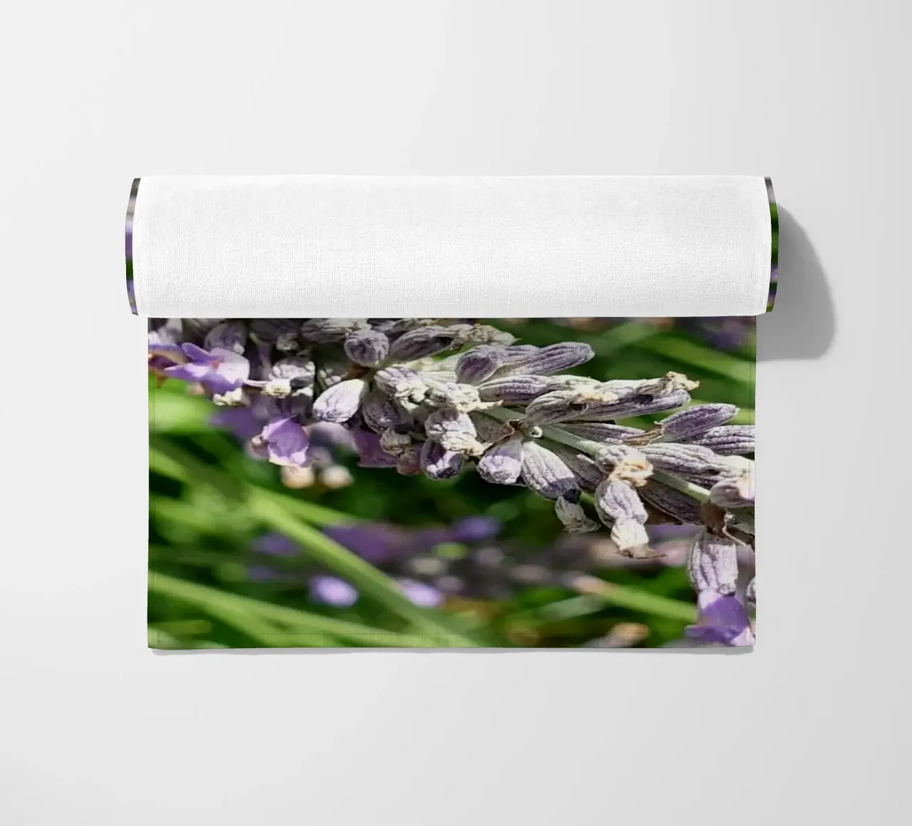 Ape telo mare da Massimo Frascogna