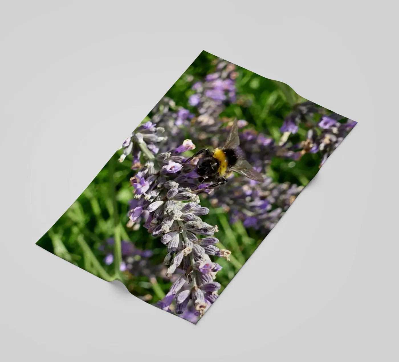 Bee strandhanddoek van Massimo Frascogna