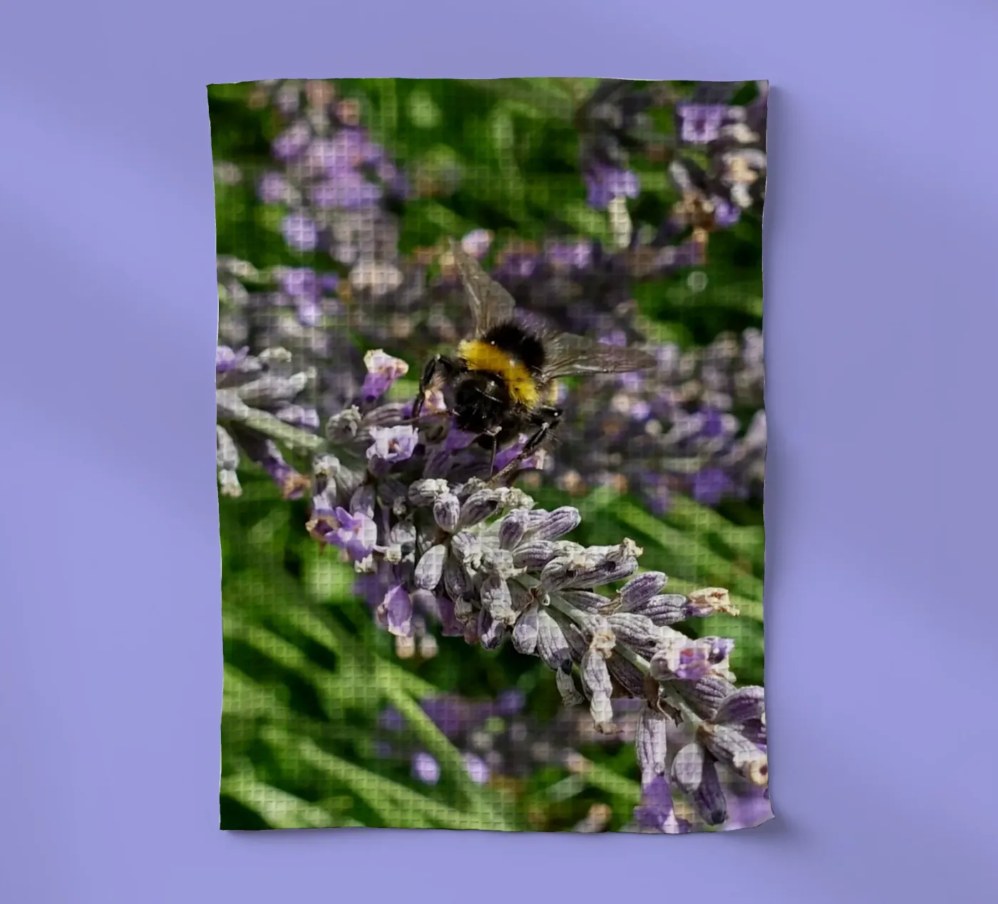 Bee tea towel by Massimo Frascogna