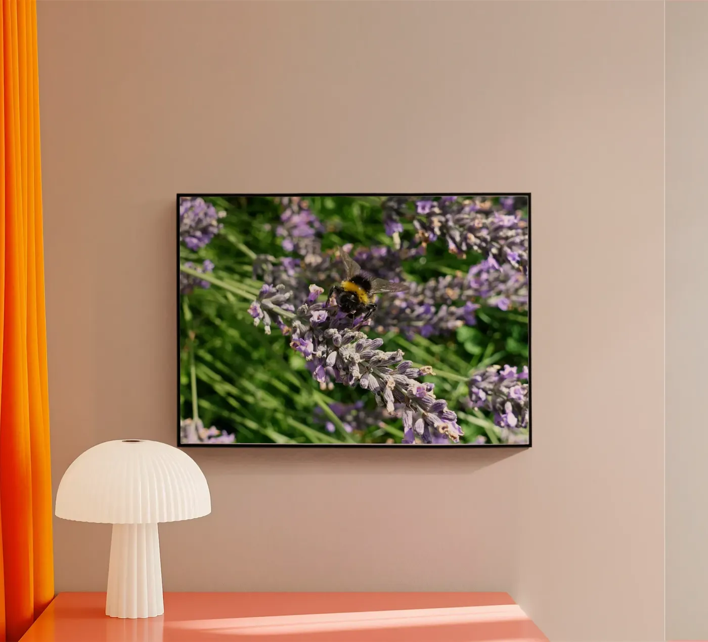 Bee Acryl-Glas von Massimo Frascogna