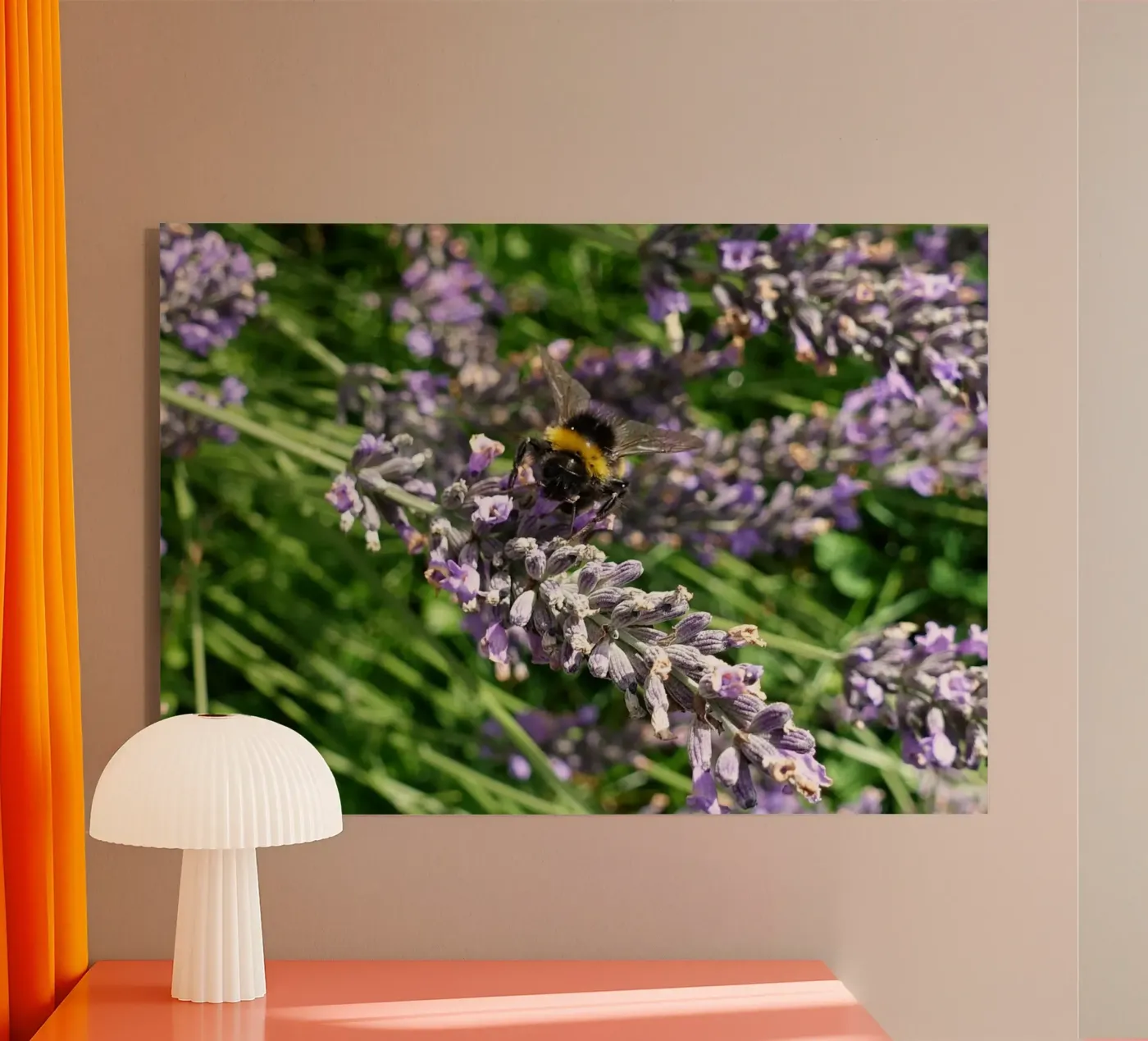 Bee Acryl-Glas von Massimo Frascogna