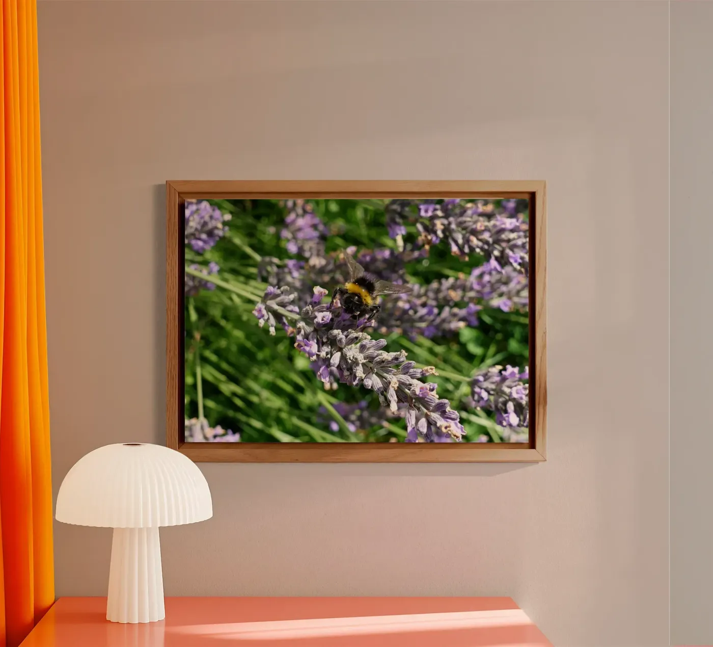 Bee forex plate by Massimo Frascogna