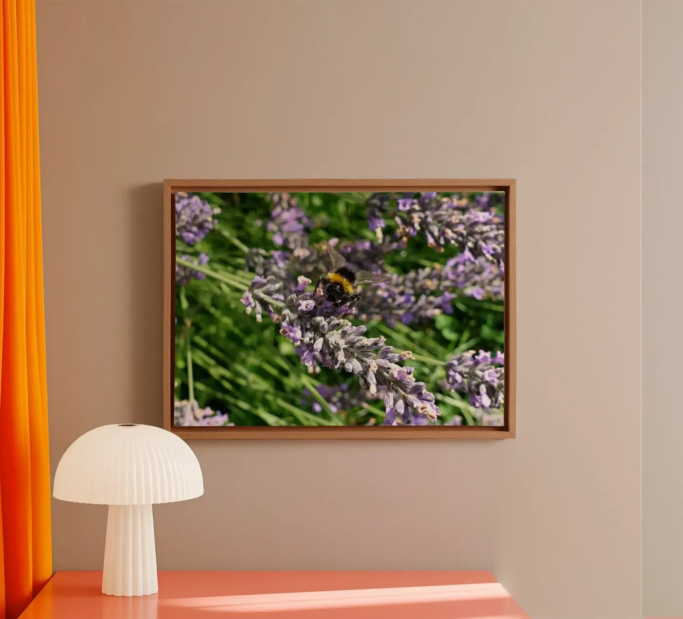 Ape tela da Massimo Frascogna