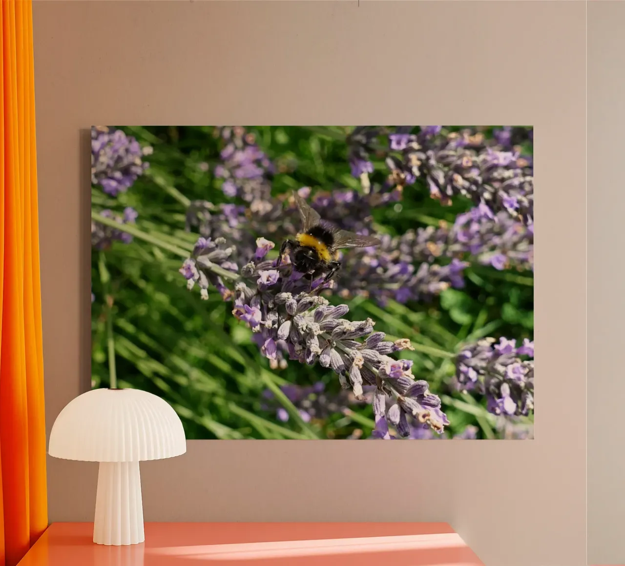 Ape tela da Massimo Frascogna