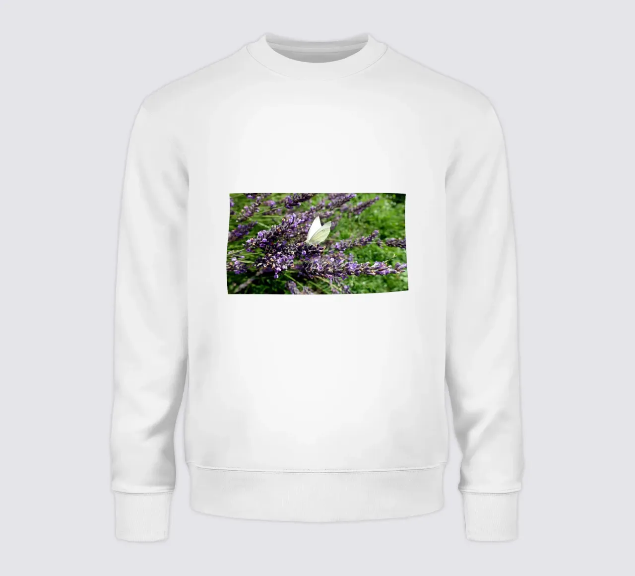 Butterfly sweatshirt by Massimo Frascogna