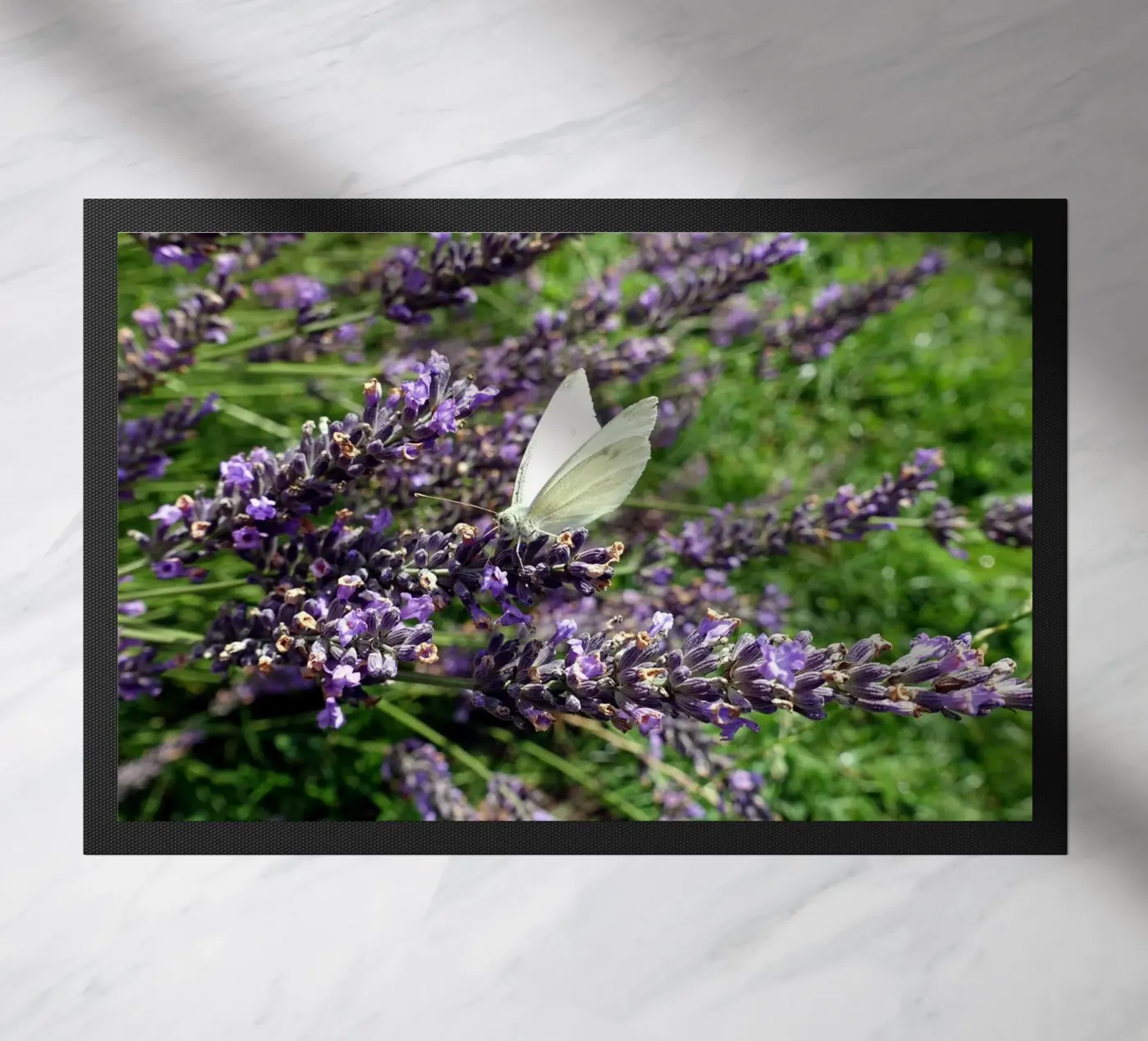 Butterfly paillasson de Massimo Frascogna