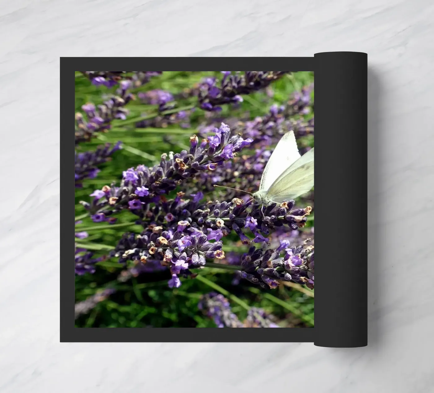 Butterfly paillasson de Massimo Frascogna