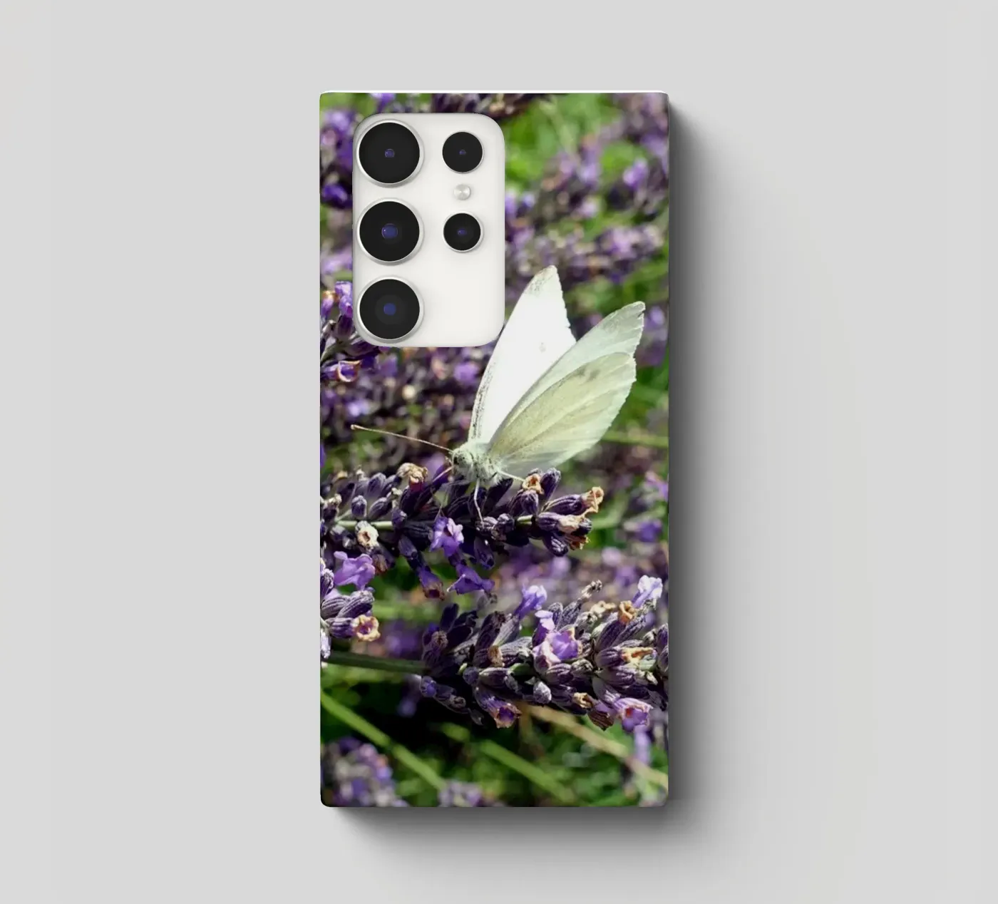 Farfalla cover samsung da Massimo Frascogna