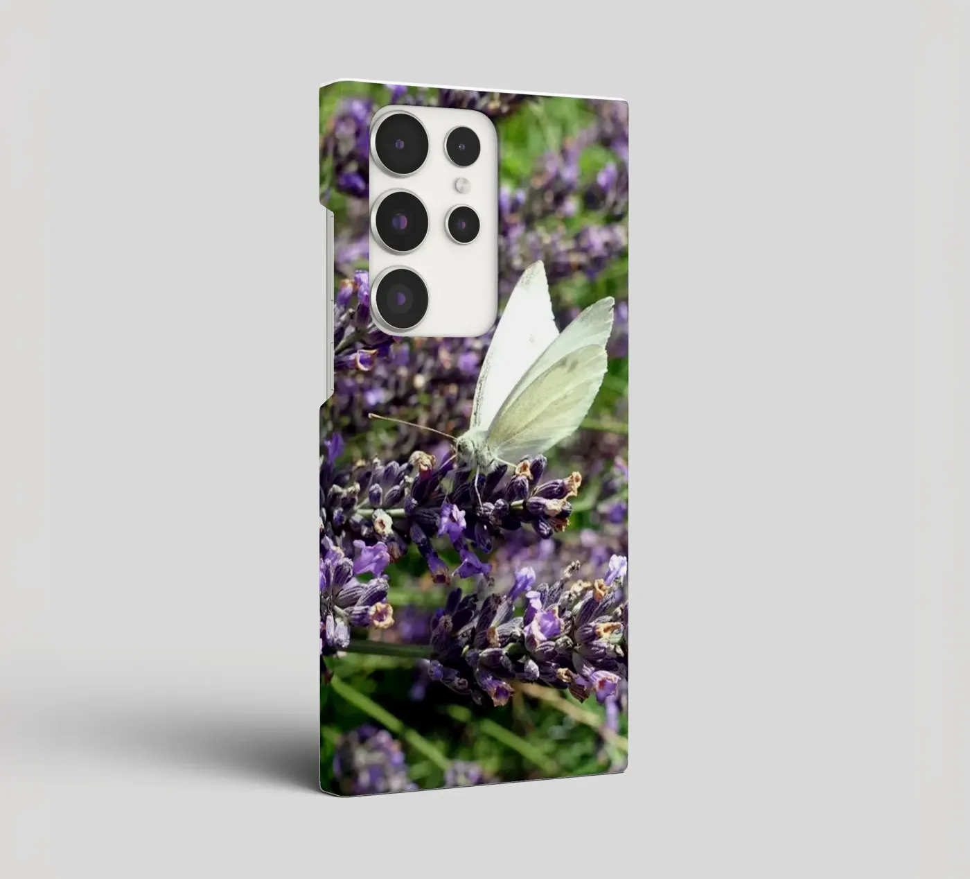 Farfalla cover samsung da Massimo Frascogna