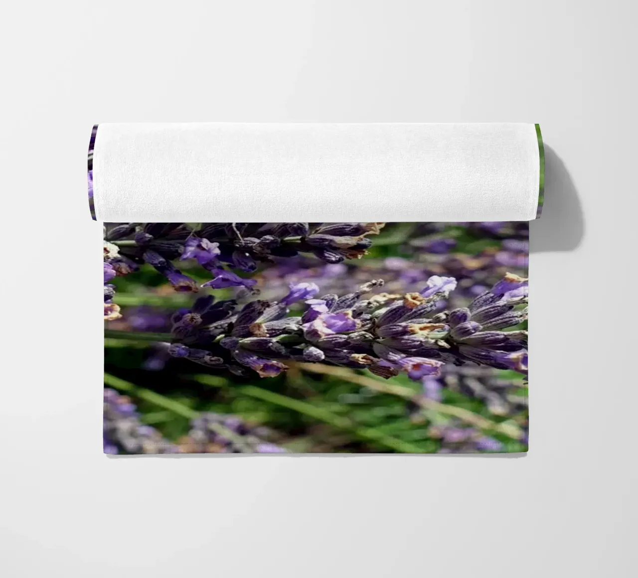 Farfalla telo mare da Massimo Frascogna