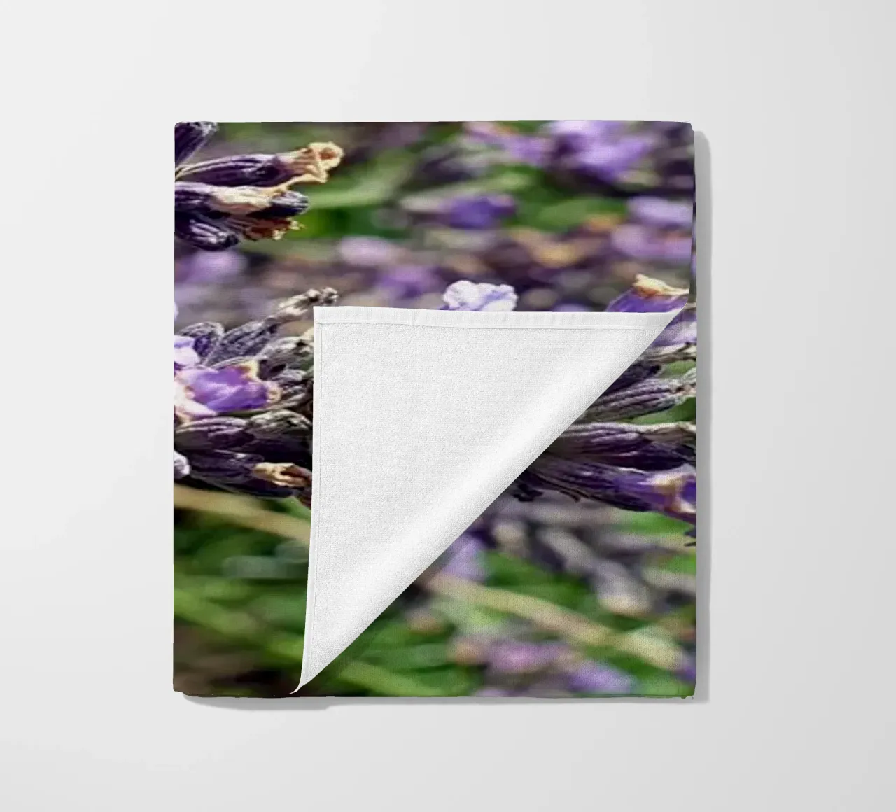 Farfalla telo mare da Massimo Frascogna