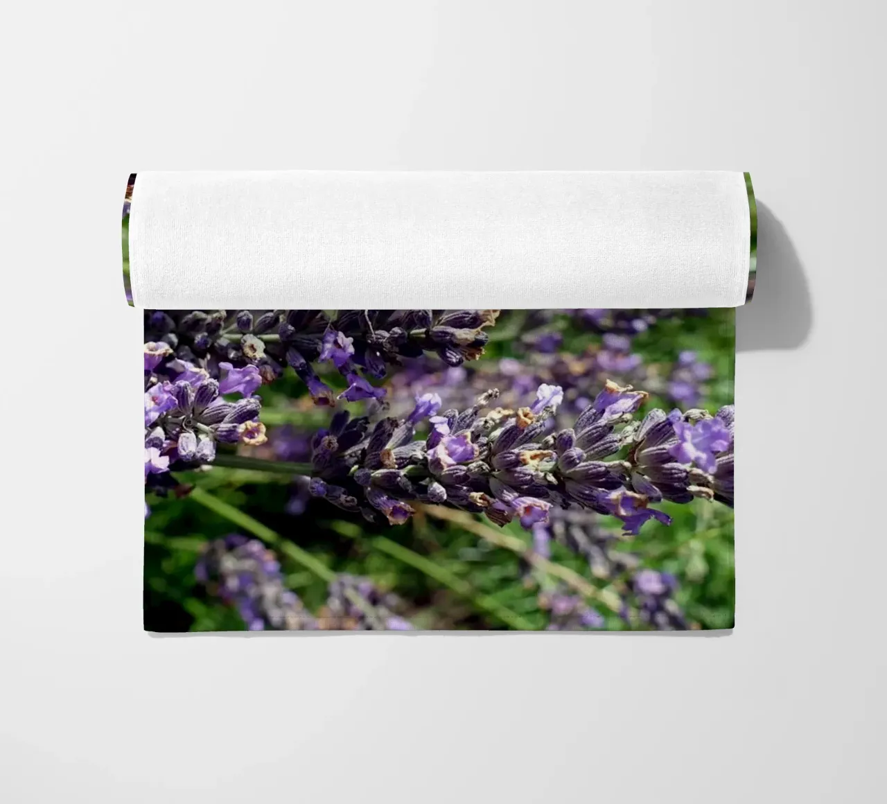 Farfalla telo mare da Massimo Frascogna