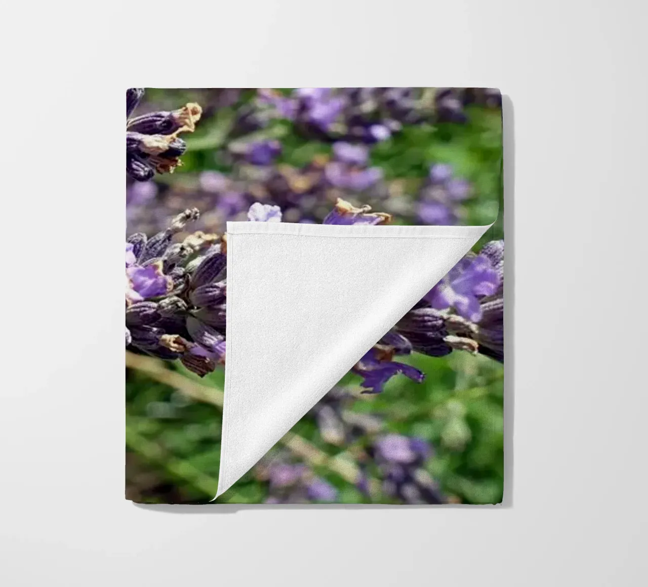 Farfalla telo mare da Massimo Frascogna